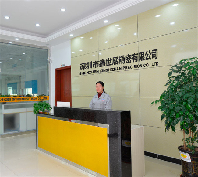 Cina Xinshizhan Precision Co., Ltd. Profilo Aziendale